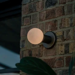 West Elm Tala Lochan Sconce