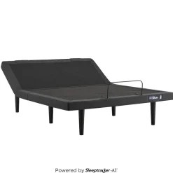 West Elm Tempur-Pedic Pro Smart Power Base Foundation