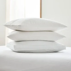 West Elm TENCEL™ Blended Down Alternative Pillow Insert