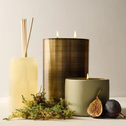 West Elm Terra Homescent Collection - Cedarwood Grove