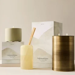 West Elm Terra Homescent Collection - Cedarwood Grove