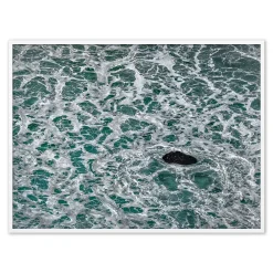 West Elm The Life Of Water Framed Wall Art by Shawn Thomas