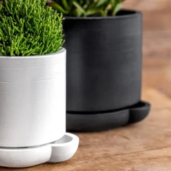 West Elm The Simple Self-Watering Pot