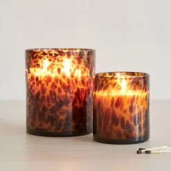 West Elm Tortoise Glass Candles - Tonka & Sandalwood