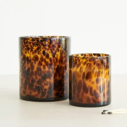 West Elm Tortoise Glass Candles - Tonka & Sandalwood
