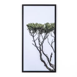 West Elm Tree of Life Framed Wall Art