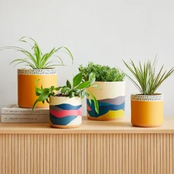 West Elm Ultralight Dreams Indoor Terracotta Planter