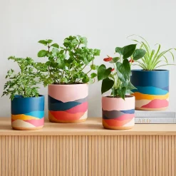 West Elm Ultralight Dreams Indoor Terracotta Planter
