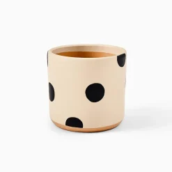 West Elm Ultralight Dreams Isla Hand-Painted Polka Dot Planter