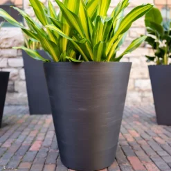 West Elm Veradek Curve Grooved Indoor/Outdoor Planter