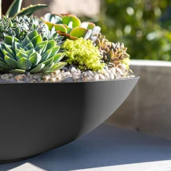 West Elm Veradek Lane Indoor/Outdoor Bowl Planter