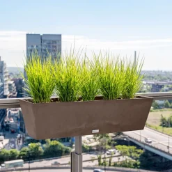 West Elm Veradek Railing Planter