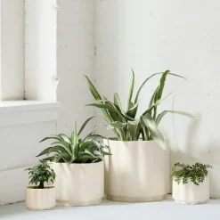 West Elm Wavy Ceramic Planters