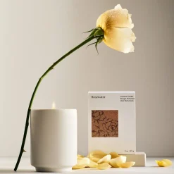 West Elm Homescent Single Wick Candle - Rosewater