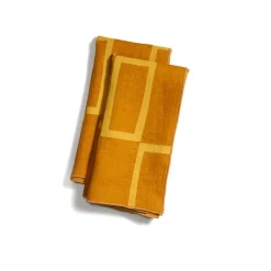 West Elm Willow Ship Dinner Napkins - Windows