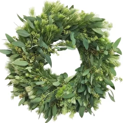 West Elm Wooly Bush Eucalyptus Wreath & Garland