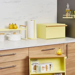 West Elm Yamazaki One-Handed-Tear Paper Towel Holder